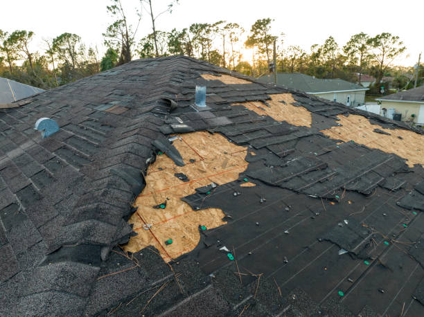 Best Roof Replacement  in USA